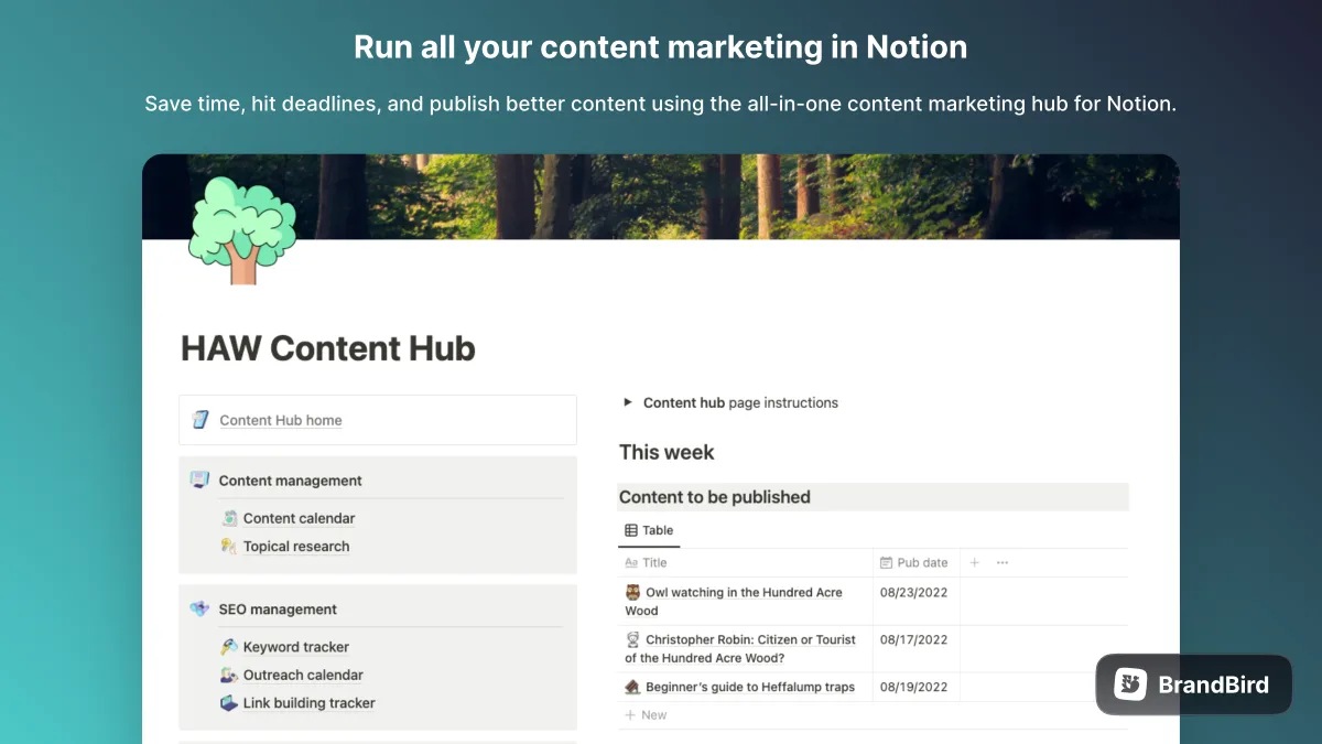 Content marketing hub