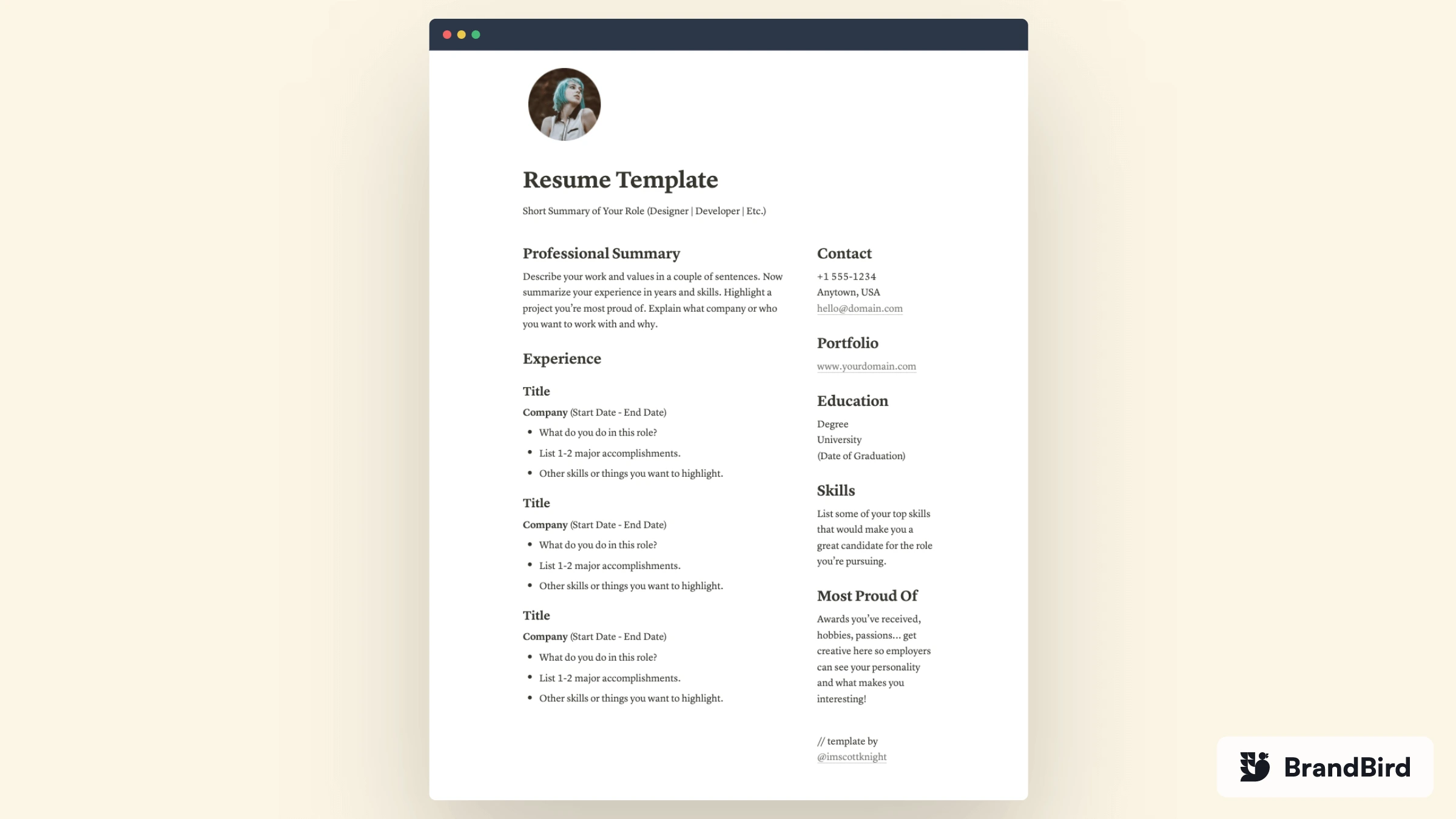 Professional Resume Template