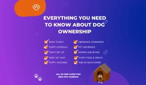 Everything a new dog owner needs to know about having a dog!