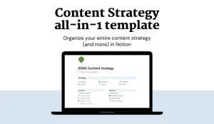 Organize your entire content strategy (and more): content audit